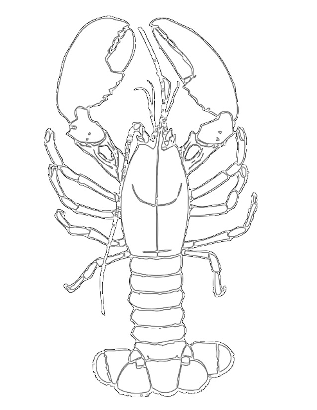 Coloring page: Lobster (Animals) #22488 - Free Printable Coloring Pages