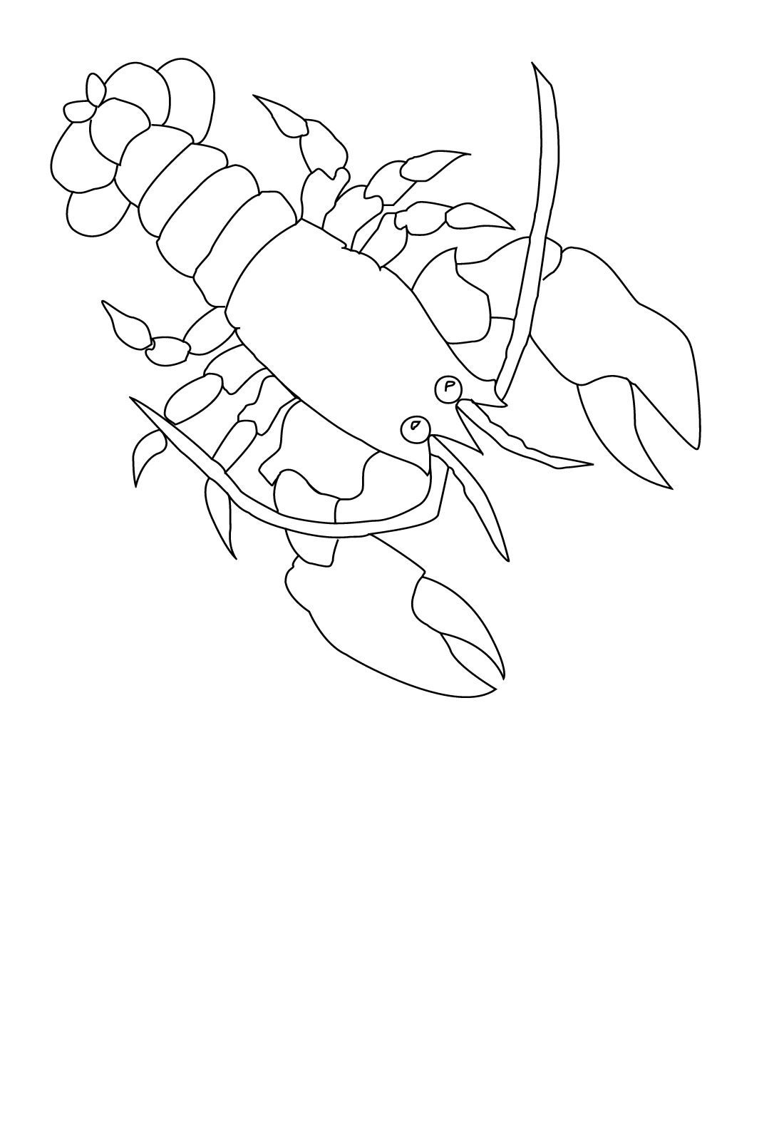 Coloring page: Lobster (Animals) #22490 - Free Printable Coloring Pages