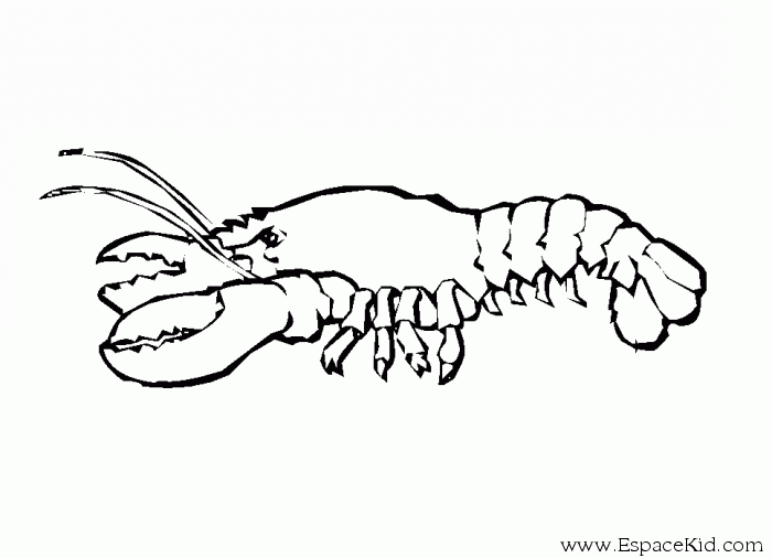 Coloring page: Lobster (Animals) #22491 - Free Printable Coloring Pages
