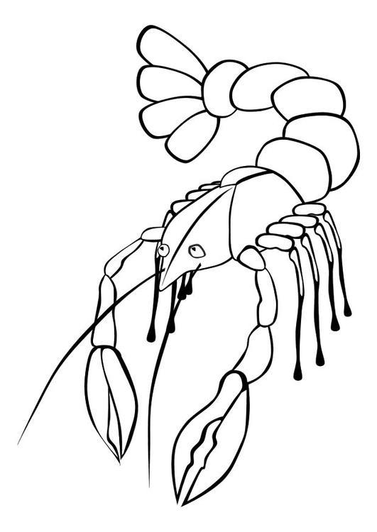 Coloring page: Lobster (Animals) #22495 - Free Printable Coloring Pages