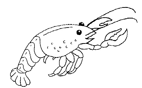 Coloring page: Lobster (Animals) #22517 - Free Printable Coloring Pages