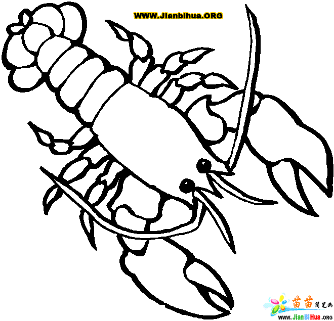 Coloring page: Lobster (Animals) #22524 - Free Printable Coloring Pages