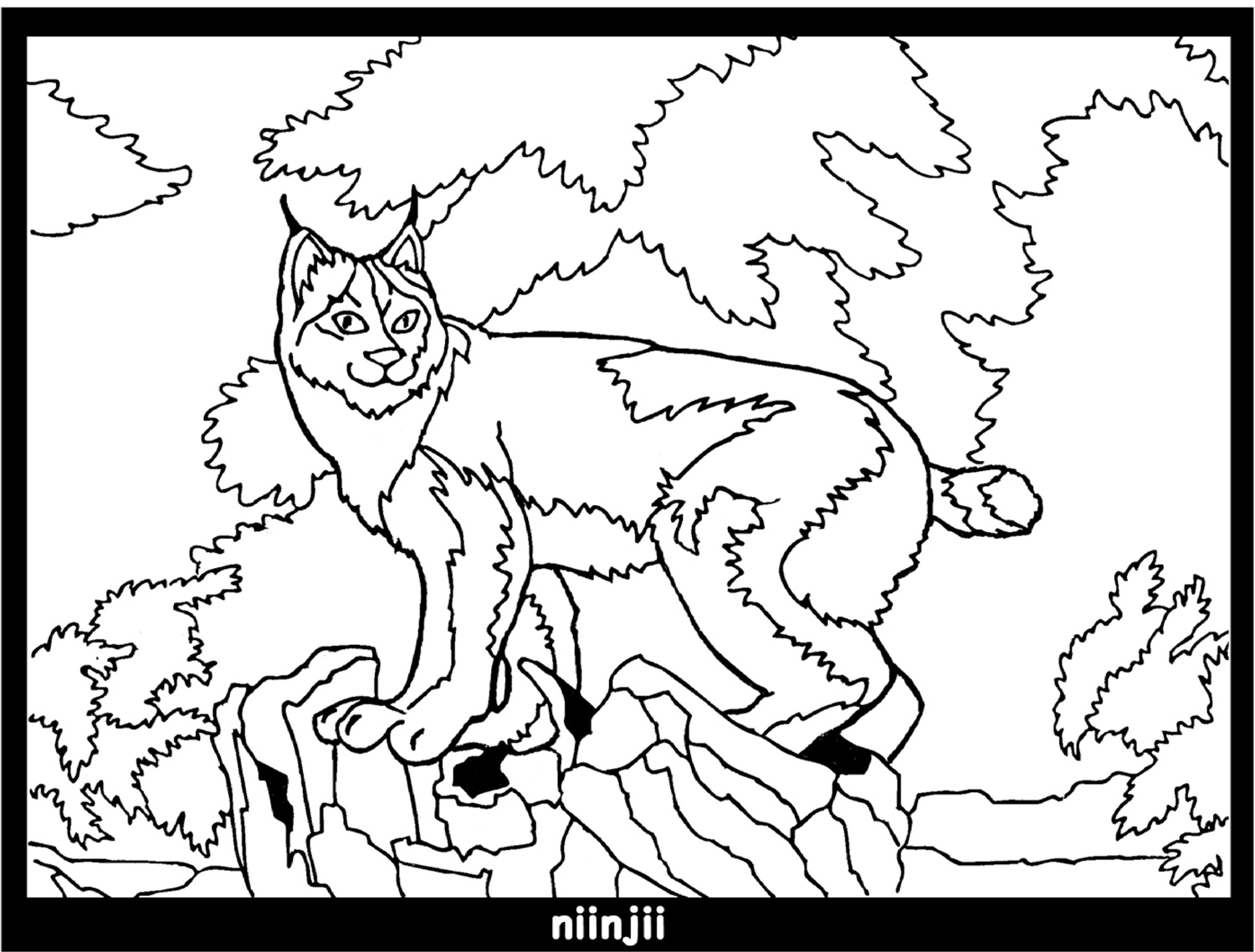 Coloring page: Lynx (Animals) #10814 - Free Printable Coloring Pages