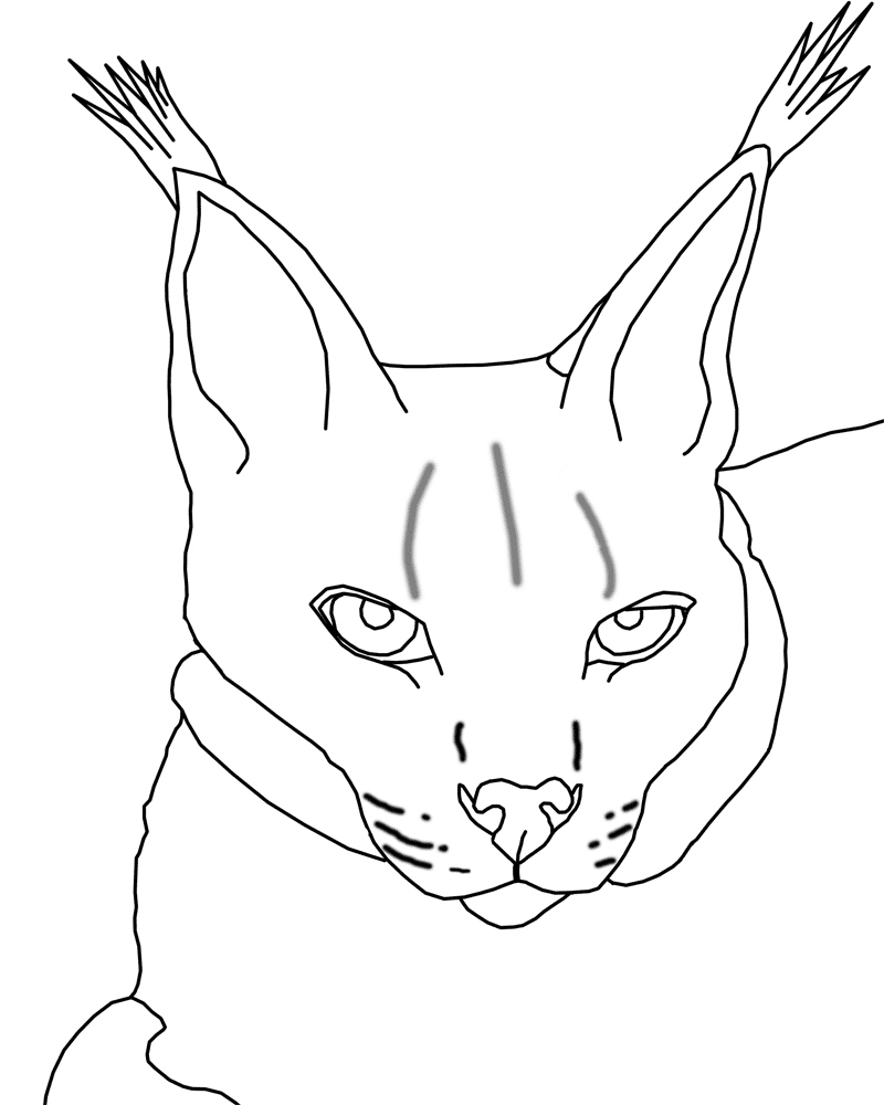 Coloring page: Lynx (Animals) #10828 - Free Printable Coloring Pages