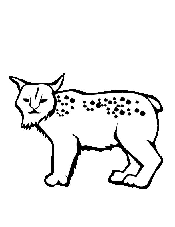 Coloring page: Lynx (Animals) #10829 - Free Printable Coloring Pages
