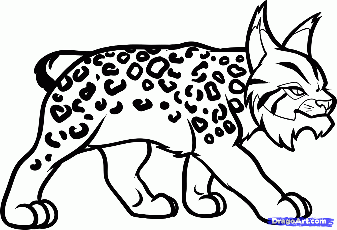 Coloring page: Lynx (Animals) #10840 - Free Printable Coloring Pages