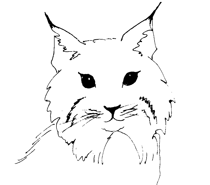 Coloring page: Lynx (Animals) #10841 - Free Printable Coloring Pages