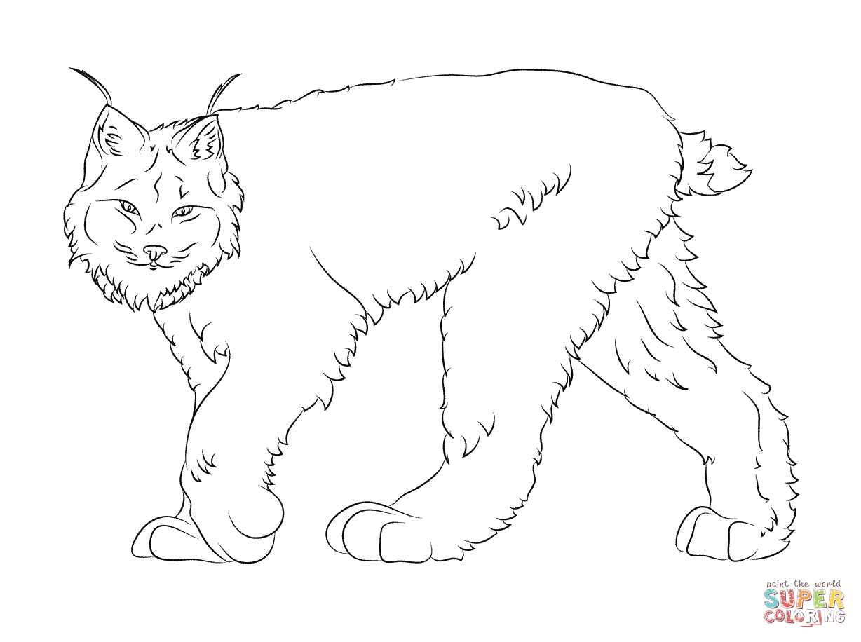 Coloring page: Lynx (Animals) #10847 - Free Printable Coloring Pages