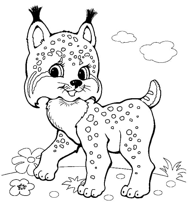 Free printable Lynx coloring page #189221 from Animals collection