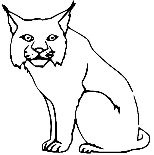 Free printable Lynx coloring page #189236 from Animals collection