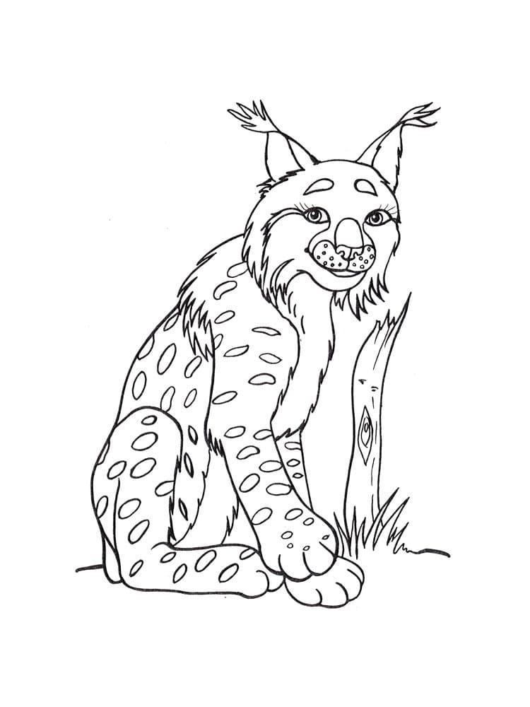 Free printable Lynx coloring page #189244 from Animals collection