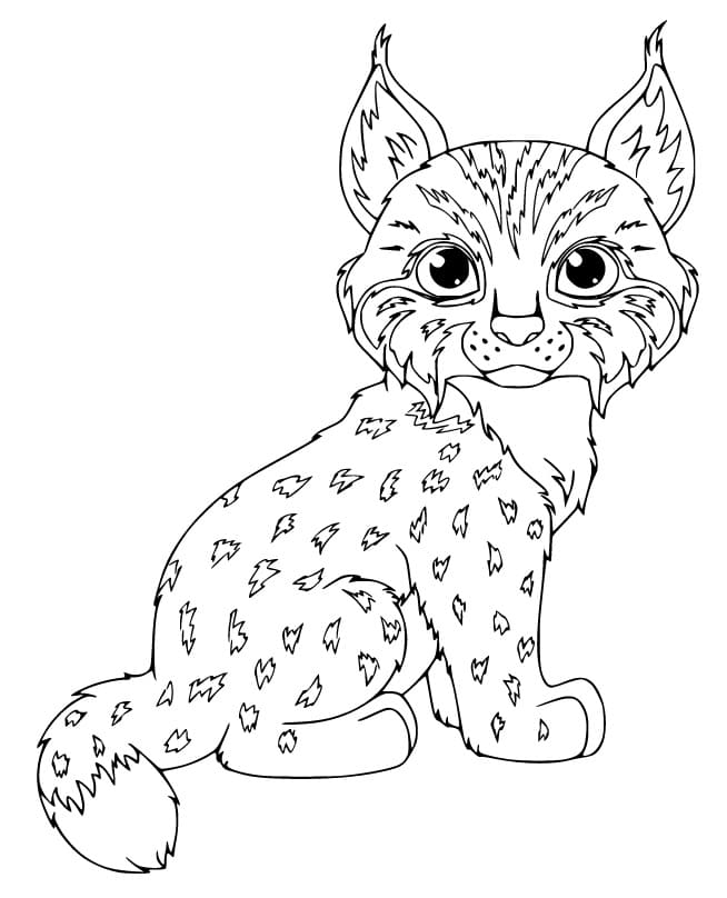Free printable Lynx coloring page #189248 from Animals collection Free printable Lynx coloring page #189248 from Animals collection