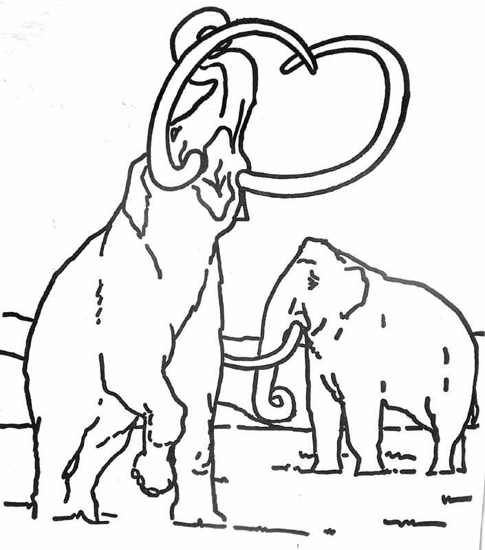Coloring page: Mammoth (Animals) #19198 - Free Printable Coloring Pages