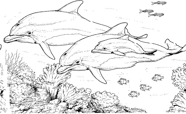 Coloring page: Marine Animals (Animals) #21985 - Free Printable Coloring Pages