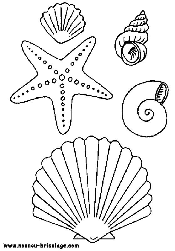 Coloring page: Marine Animals (Animals) #21987 - Free Printable Coloring Pages