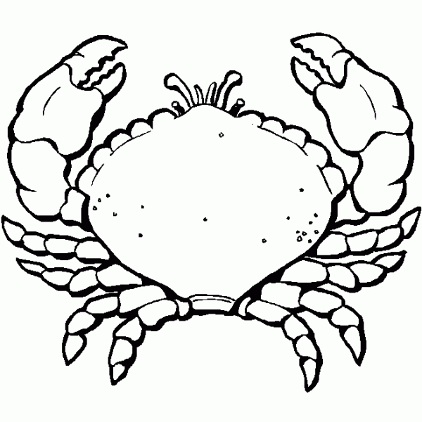 Coloring page: Marine Animals (Animals) #21997 - Free Printable Coloring Pages