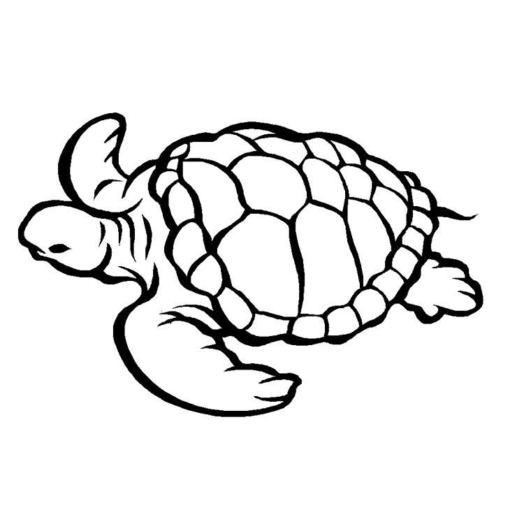 Coloring page: Marine Animals (Animals) #22010 - Free Printable Coloring Pages