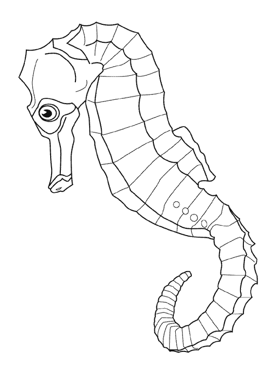 Coloring page: Marine Animals (Animals) #22012 - Free Printable Coloring Pages