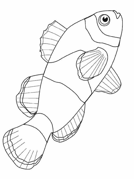 Coloring page: Marine Animals (Animals) #22016 - Free Printable Coloring Pages