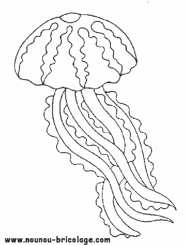 Coloring page: Marine Animals (Animals) #22019 - Free Printable Coloring Pages