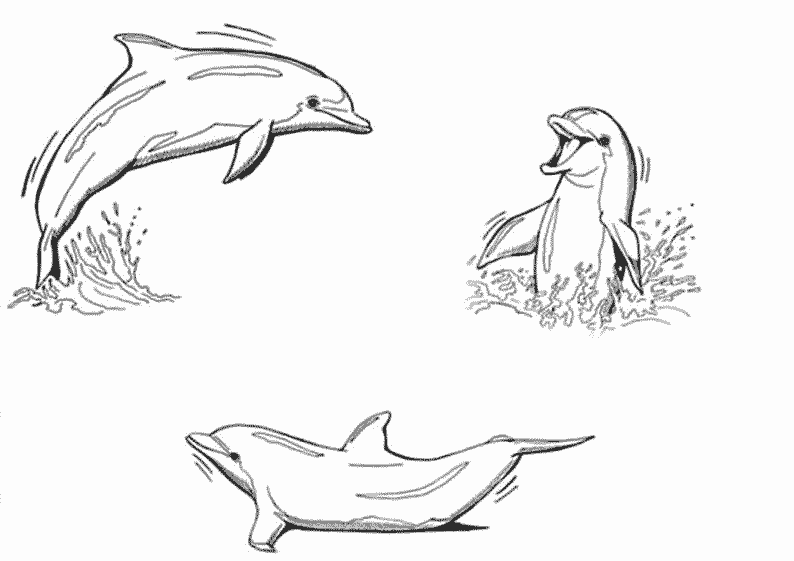 Coloring page: Marine Animals (Animals) #22026 - Free Printable Coloring Pages