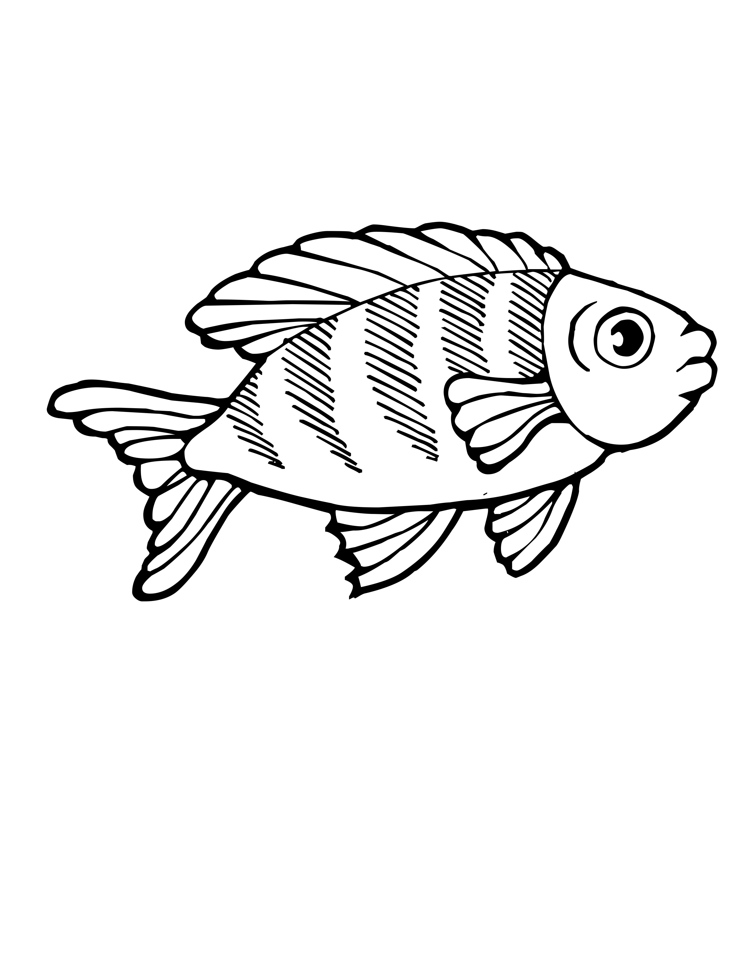 Drawing Marine Animals 20 Animals – Printable coloring pages