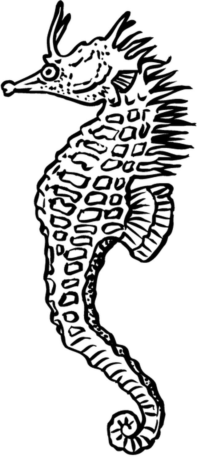 Coloring page: Marine Animals (Animals) #22032 - Free Printable Coloring Pages