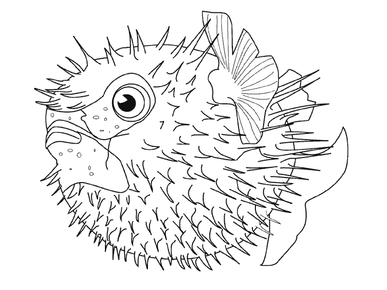 Coloring page: Marine Animals (Animals) #22034 - Free Printable Coloring Pages