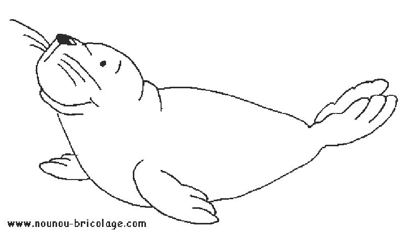 Coloring page: Marine Animals (Animals) #22035 - Free Printable Coloring Pages