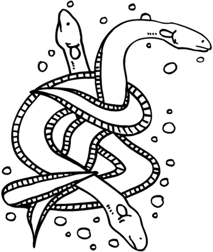 Coloring page: Marine Animals (Animals) #22056 - Free Printable Coloring Pages