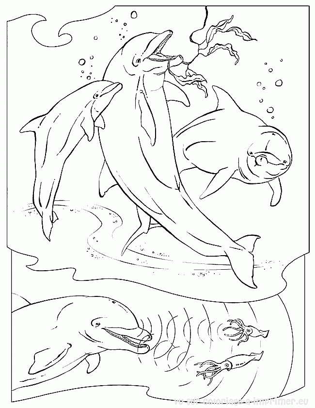Coloring page: Marine Animals (Animals) #22063 - Free Printable Coloring Pages