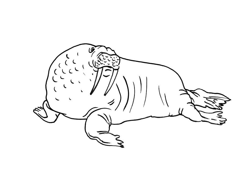 Coloring page: Marine Animals (Animals) #22075 - Free Printable Coloring Pages