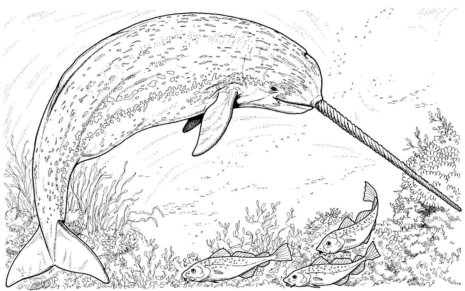 Coloring page: Marine Animals (Animals) #22104 - Free Printable Coloring Pages