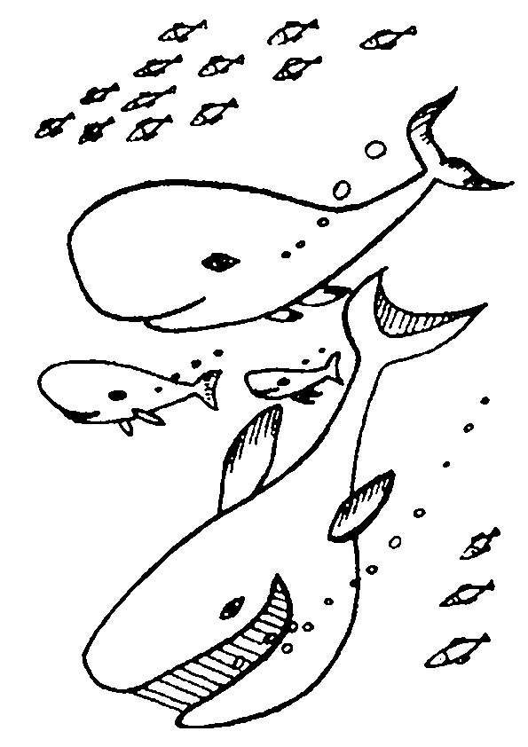 Coloring page: Marine Animals (Animals) #22118 - Free Printable Coloring Pages