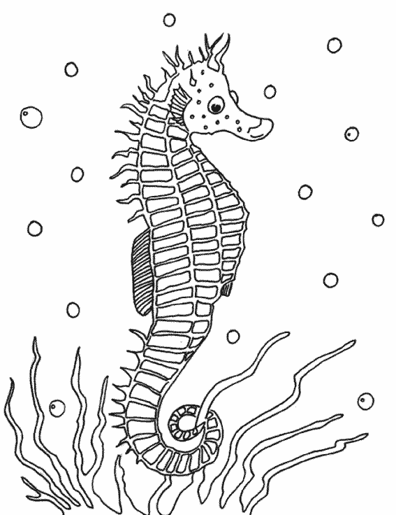 Coloring page: Marine Animals (Animals) #22122 - Free Printable Coloring Pages