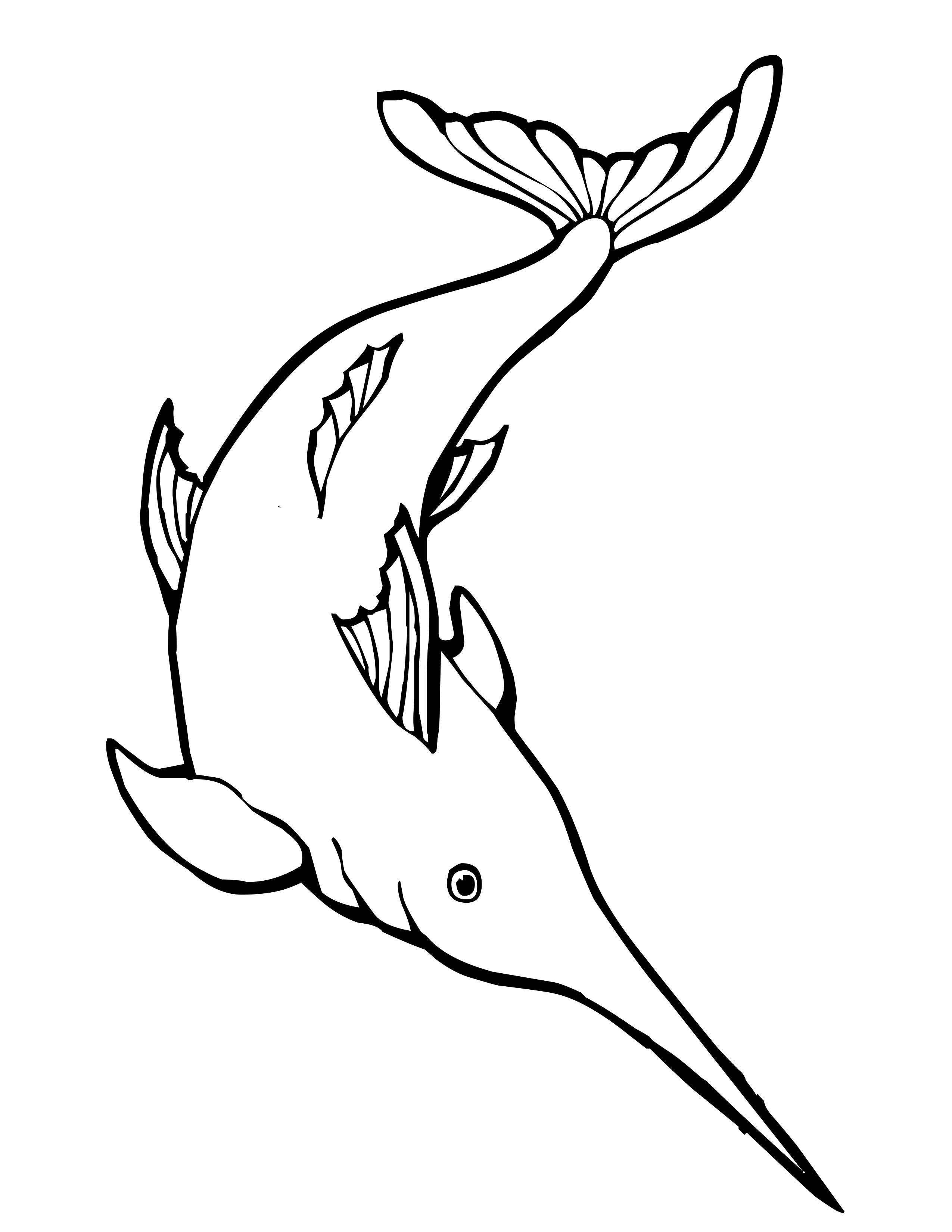 Coloring page: Marine Animals (Animals) #22124 - Free Printable Coloring Pages