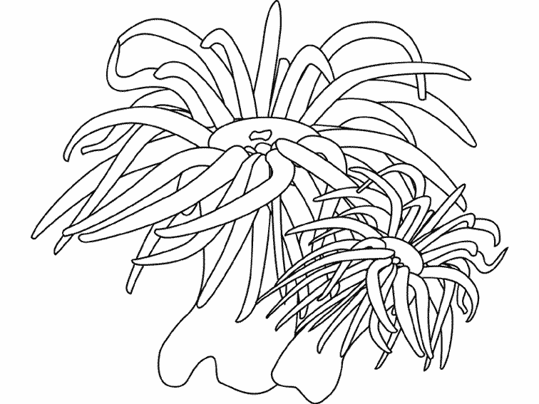 Coloring page: Marine Animals (Animals) #22125 - Free Printable Coloring Pages