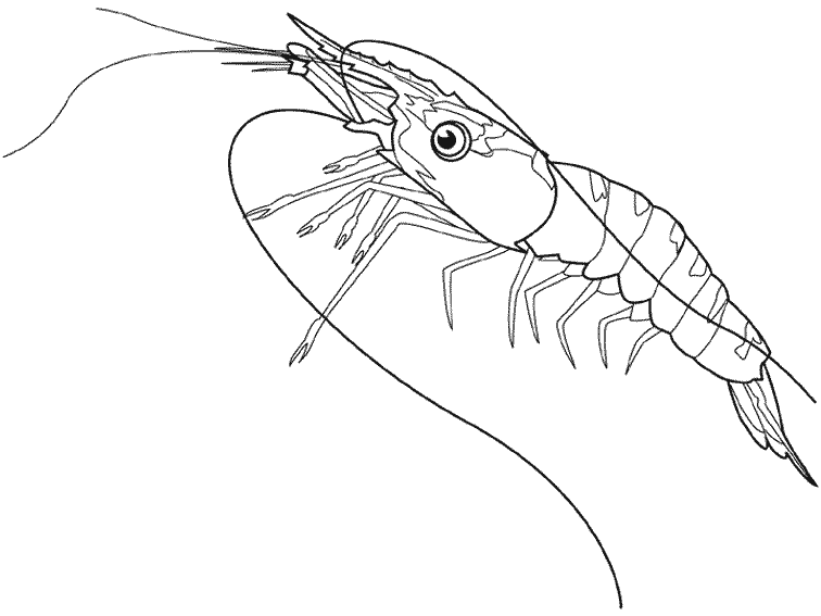 Coloring page: Marine Animals (Animals) #22128 - Free Printable Coloring Pages
