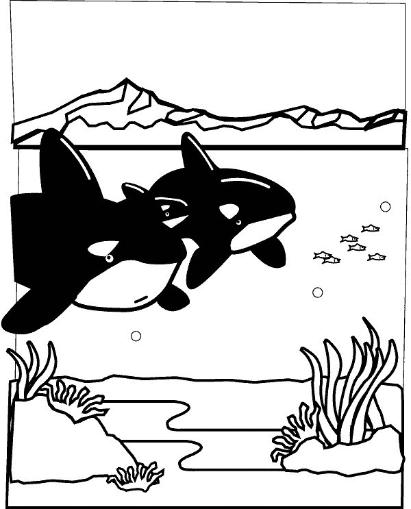 Coloring page: Marine Animals (Animals) #22133 - Free Printable Coloring Pages