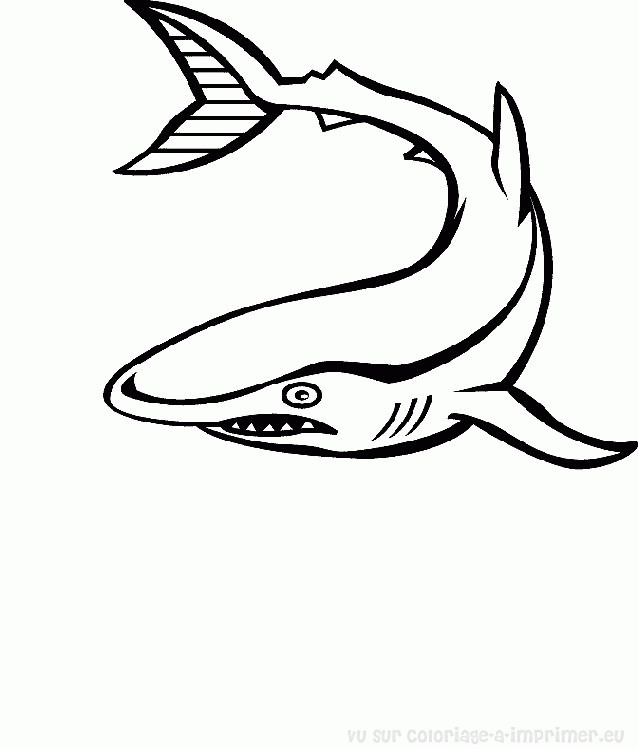 Coloring page: Marine Animals (Animals) #22144 - Free Printable Coloring Pages