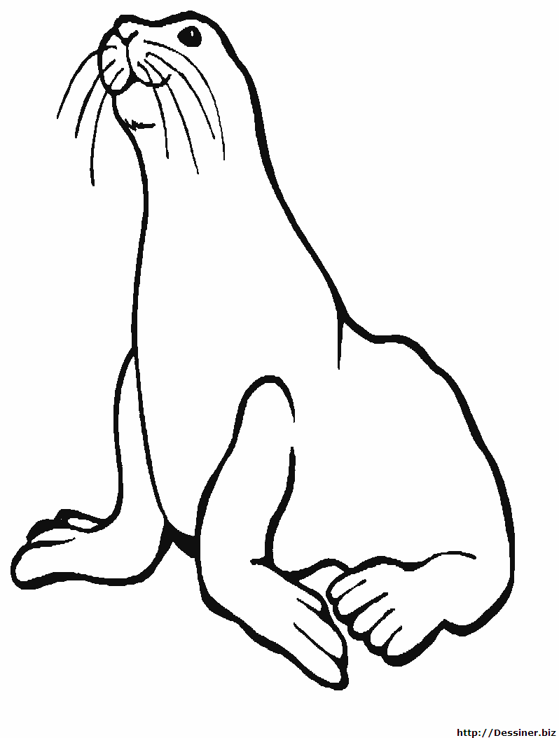 Coloring page: Marine Animals (Animals) #22146 - Free Printable Coloring Pages