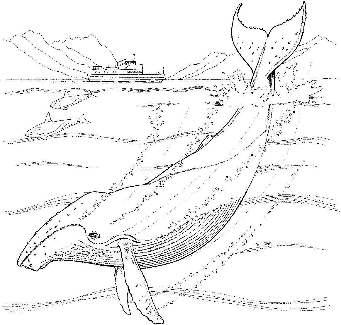 Coloring page: Marine Animals (Animals) #22151 - Free Printable Coloring Pages