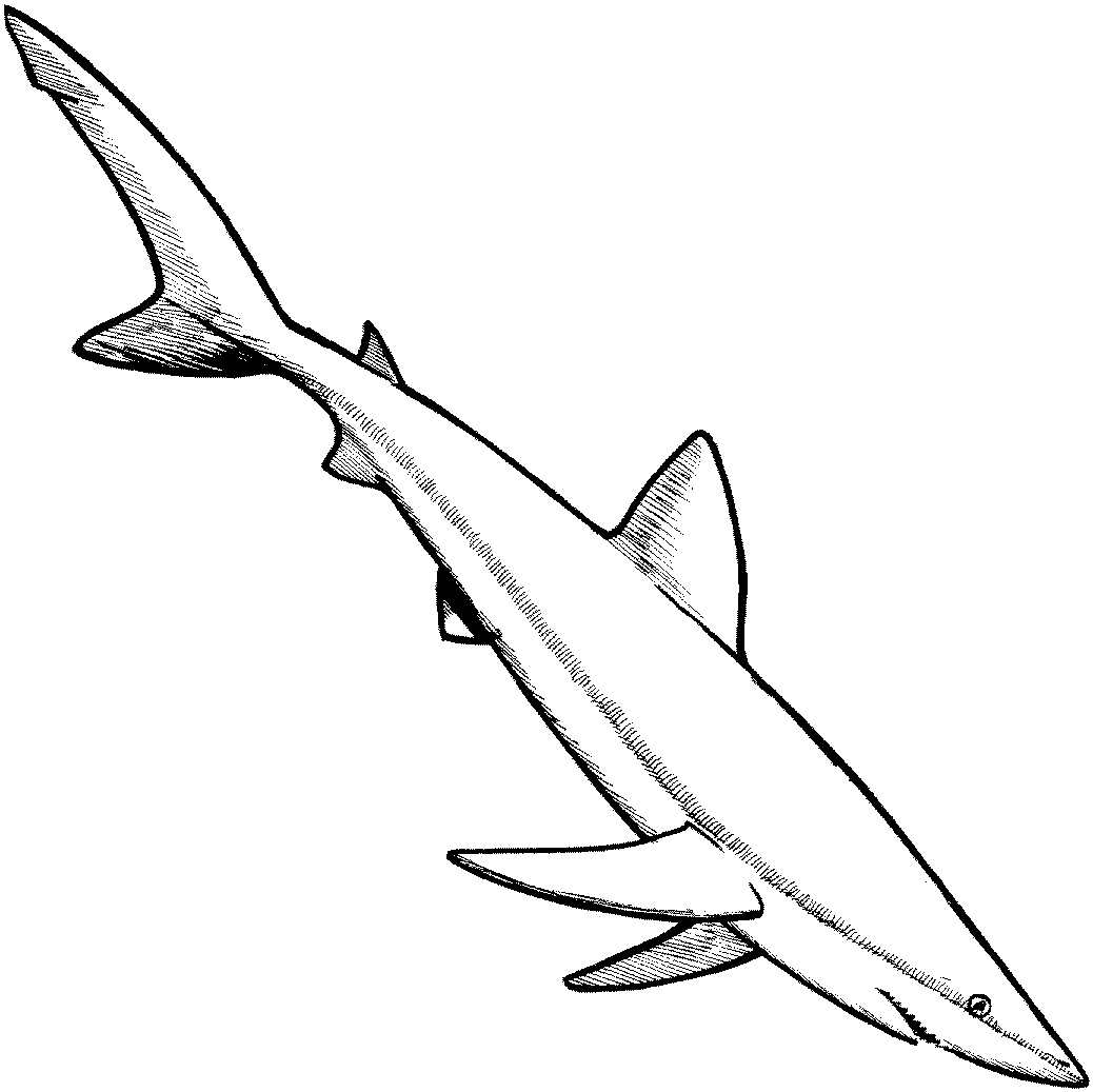 Coloring page: Marine Animals (Animals) #22156 - Free Printable Coloring Pages