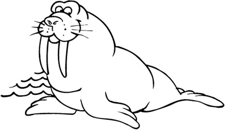 Coloring page: Marine Animals (Animals) #22175 - Free Printable Coloring Pages