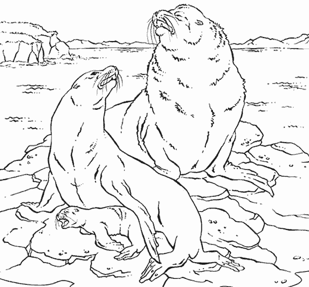 Coloring page: Marine Animals (Animals) #22176 - Free Printable Coloring Pages