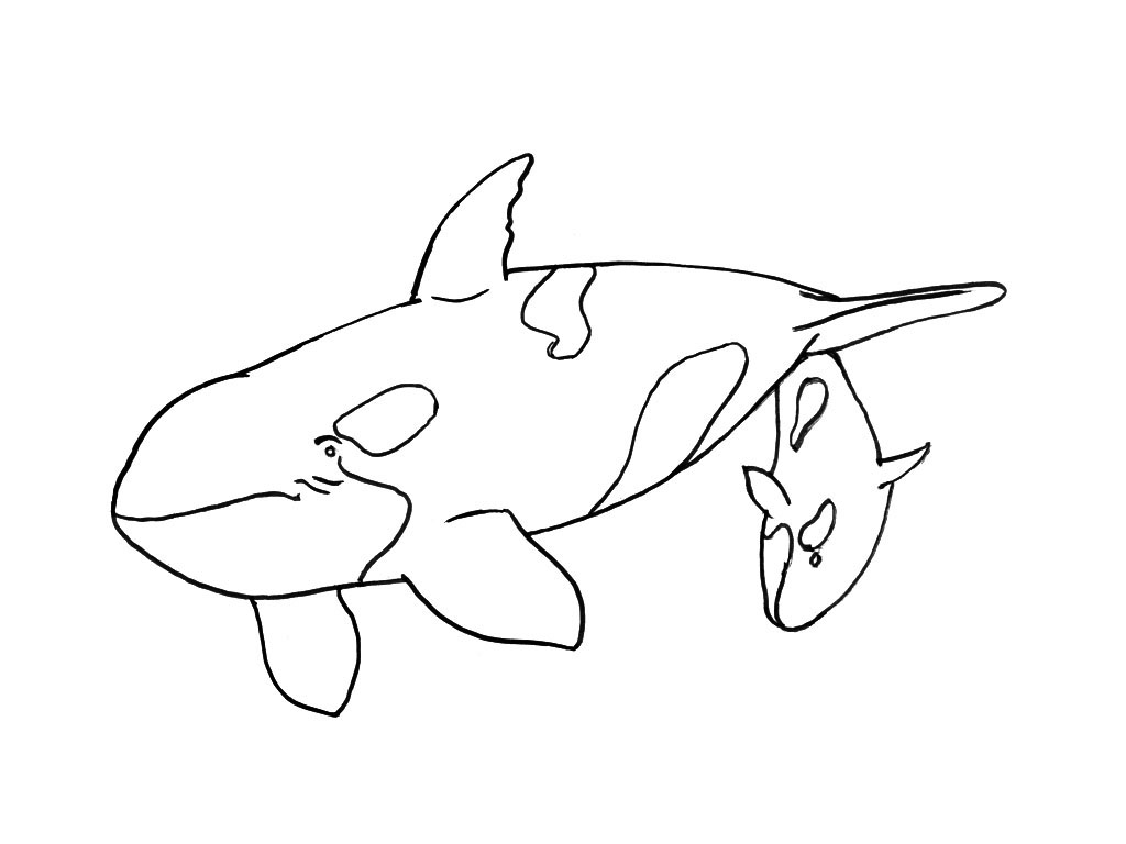 Coloring page: Marine Animals (Animals) #22181 - Free Printable Coloring Pages