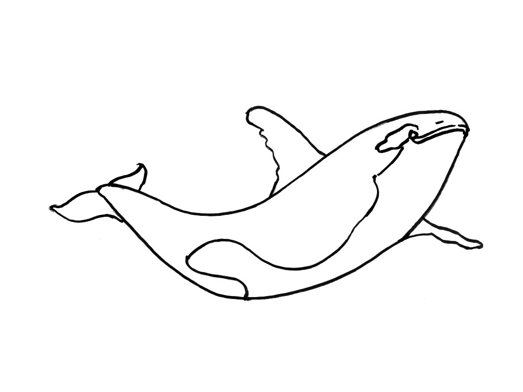 Coloring page: Marine Animals (Animals) #22188 - Free Printable Coloring Pages