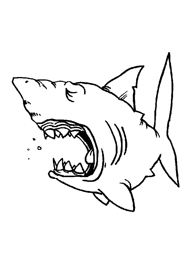 Coloring page: Marine Animals (Animals) #22197 - Free Printable Coloring Pages