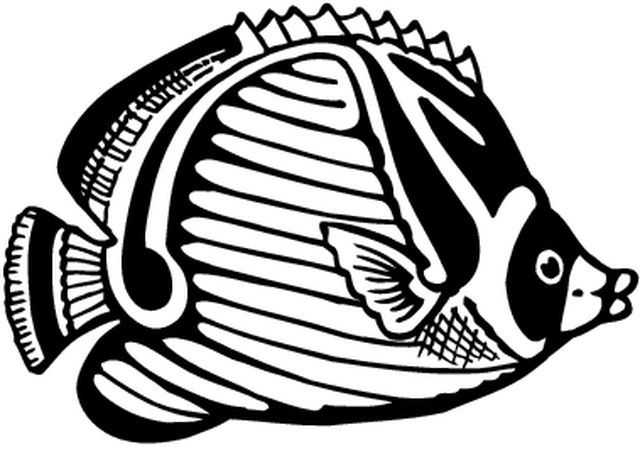 Coloring page: Marine Animals (Animals) #22203 - Free Printable Coloring Pages