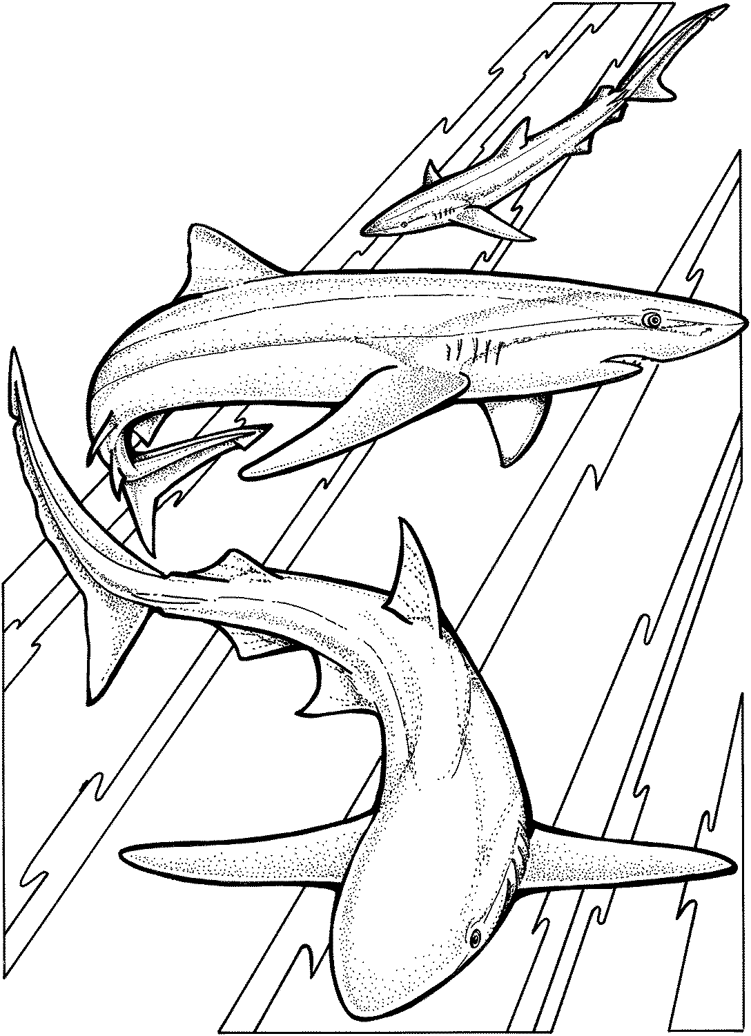 Coloring page: Marine Animals (Animals) #22207 - Free Printable Coloring Pages
